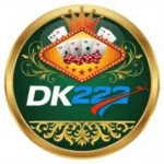 DK222 Game