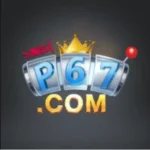 P67 Game
