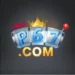 P67 Game