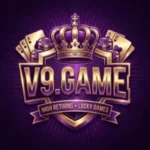 V9 Game